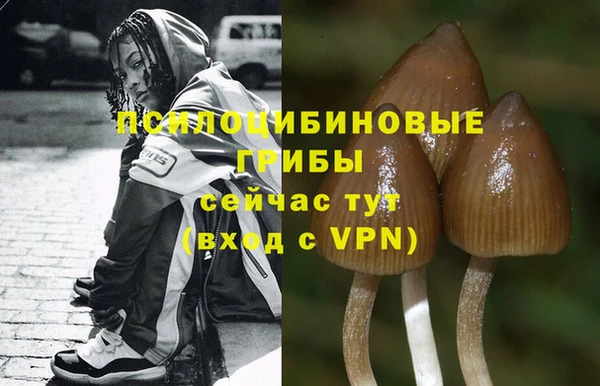 кристаллы Вязьма