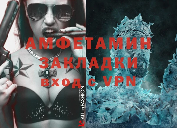 стаф Верея