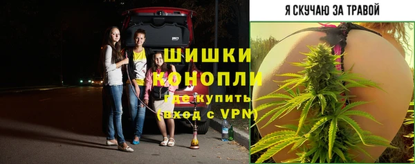 прущие грибы Володарск
