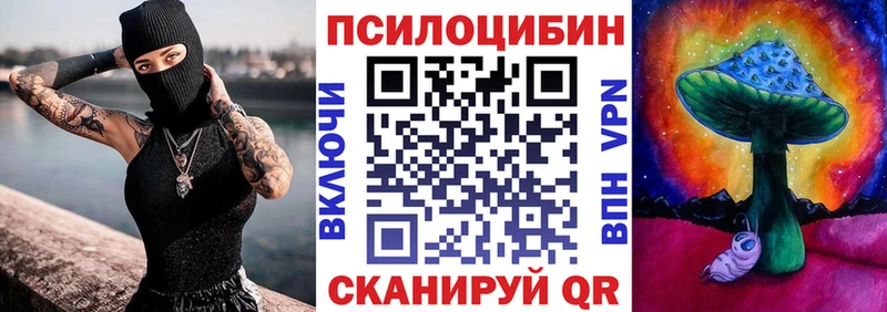 Галлюциногенные грибы Cubensis  где найти   блэк спрут зеркало  Дивногорск 